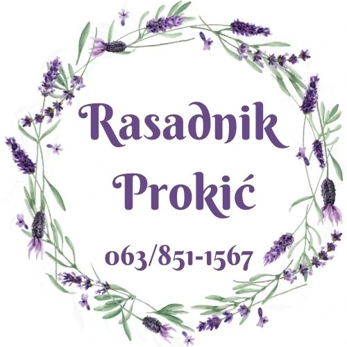 Rasadnik Prokić