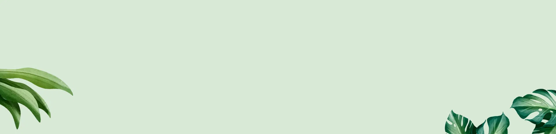 Sadnja i uređenje dvorišta, parkova i javnih prostora